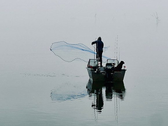 Fishing in the Fog-Judges' Choice Winner (154)