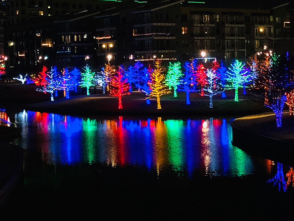 Christmas Reflection