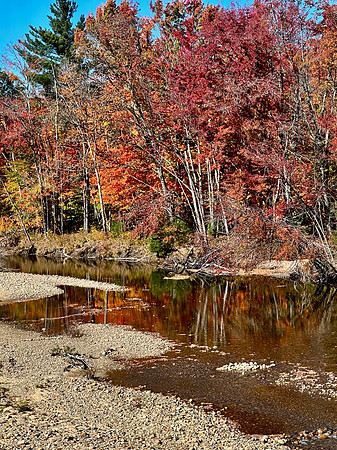 Fall Reflections