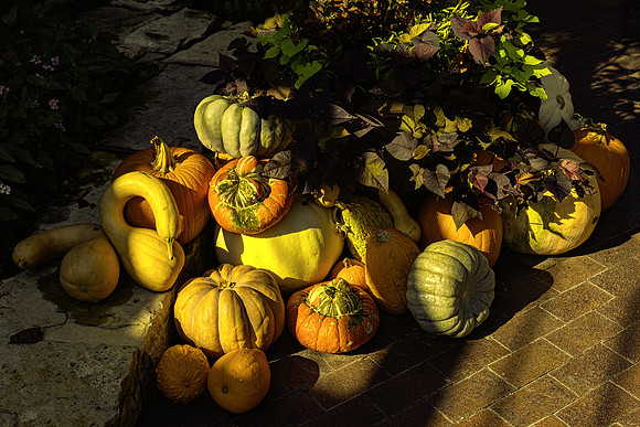 Harvest Time