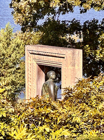 Peeping Through the Leaves