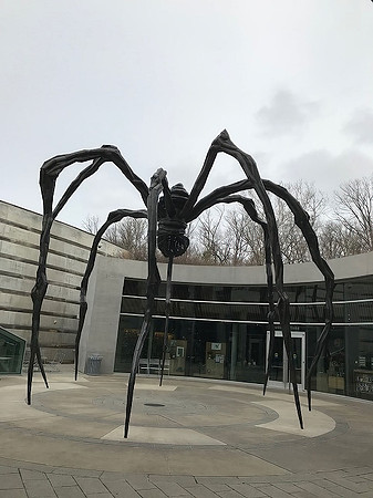Not Your Itsy Bitsy Spider