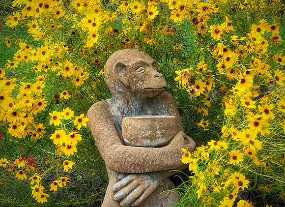 Stop and Smell the Flowers