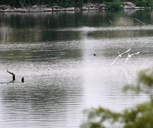 Bird Day Date at the Lake