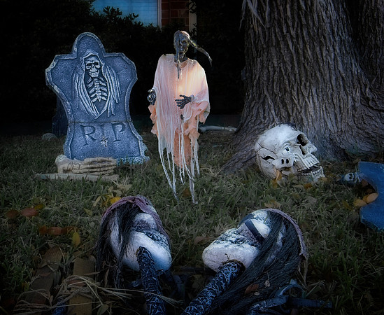 Companions – Darkness and Fear
