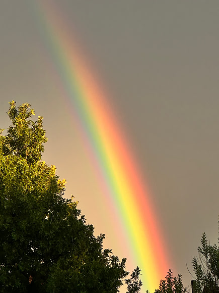God's Promise