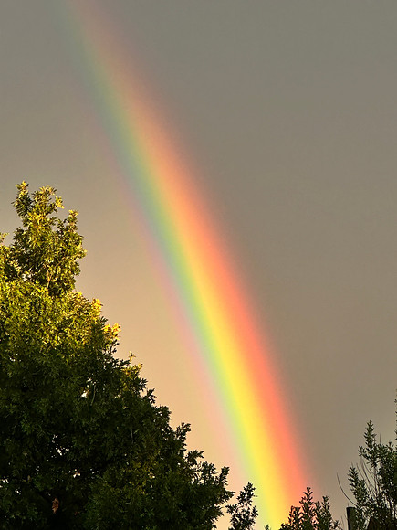 God's Promise