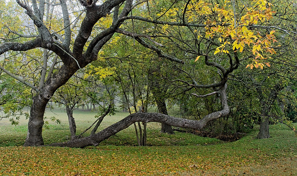 Fall is in the Air