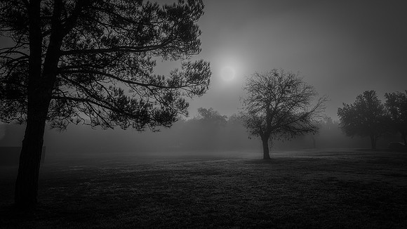 Foggy Sunrise in Midlothian, Texas