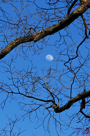 Reaching Out to the Moon