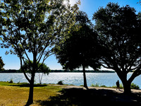 A Stroll at the Lake