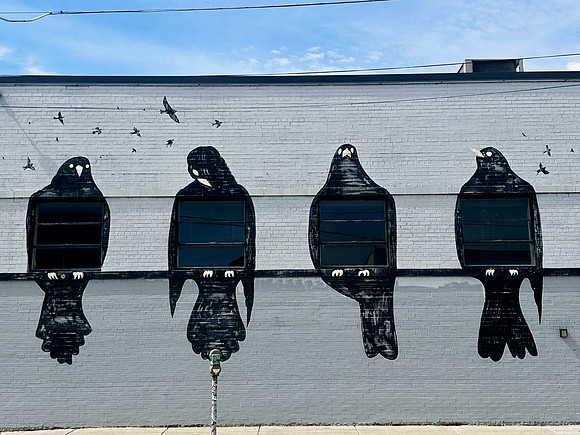 A Murder of Crows