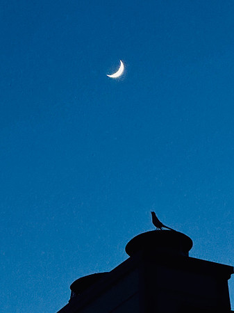 Wishing on the Moon