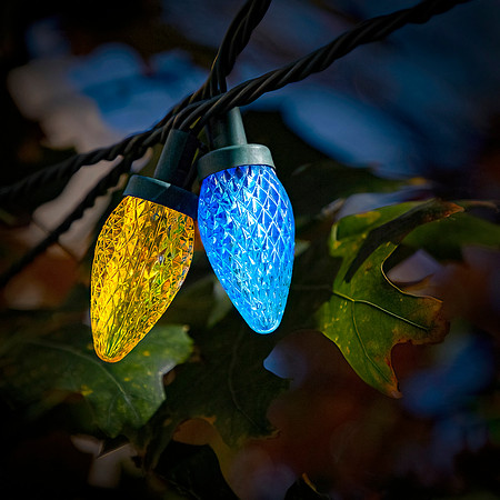 Complimentary Christmas Lights