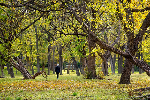Basking in Autumn Colors