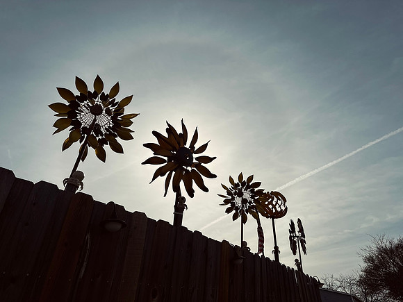 Silhouettes