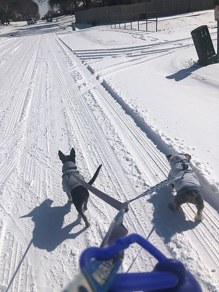 Dashing through the Snow