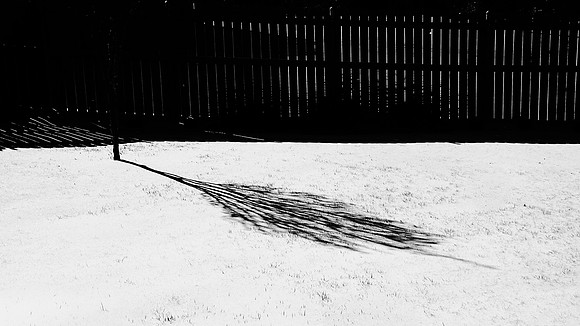 Winter Light