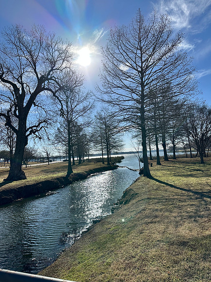 Winter Stillness