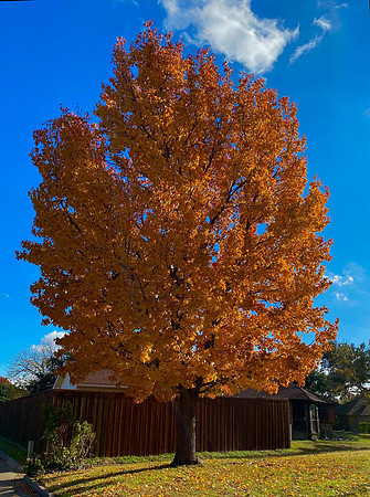 Beautiful Colors of Fall