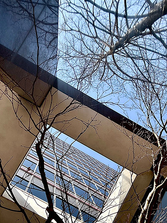 Things Are Looking Up
