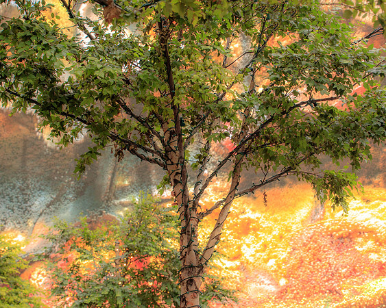 Abstract Tree