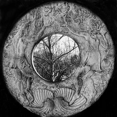 Circle of Life
