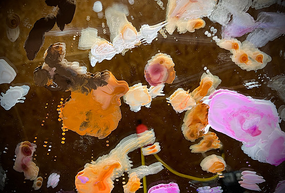 Colors