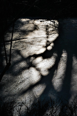 Frozen Shadows