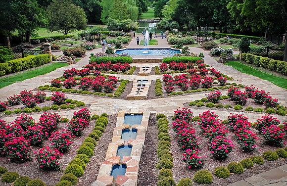 Rose Garden