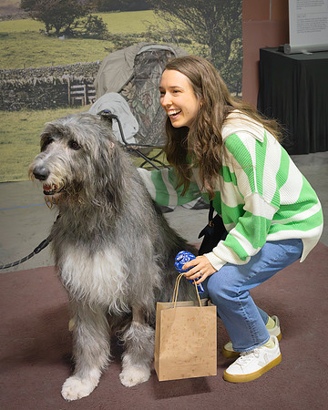 Irish Wolfhound