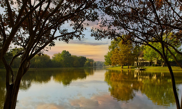 A Peaceful Morning