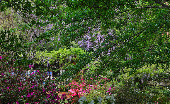 Spring Garden