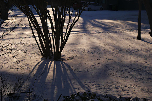 Shadows in the Snow
