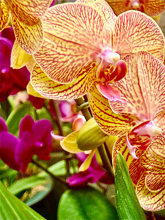 Every Beautiful Flower Needs Green