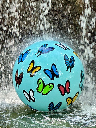 Butterfly Ball in the Mist