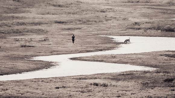 Down at the Trinity River