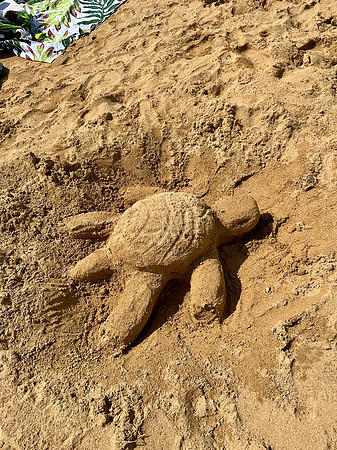 Sand Turtle