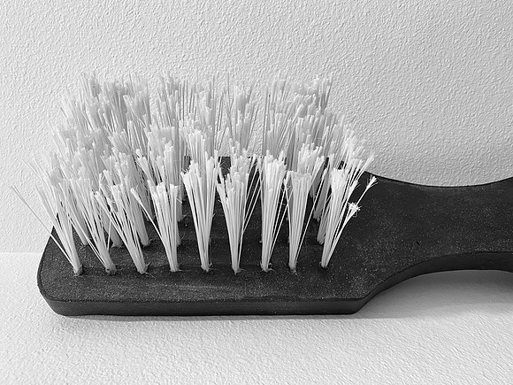 Brush Daily