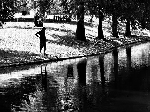 Park Reflections