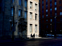 Light and Shadow in Dallas