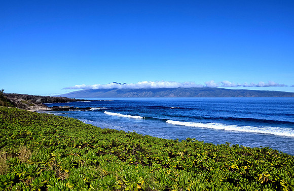 Green and Blue Hawaii