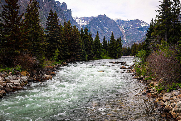 Rosebud River