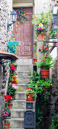 Blooms Among Medieval Stone
