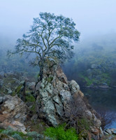 216 High Atop a Rock, Life Finds a Way-Judges Choice