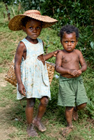 308 Big Sister -- Seychelles Islands-Judges Choice