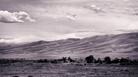 331 Colorado Dunes