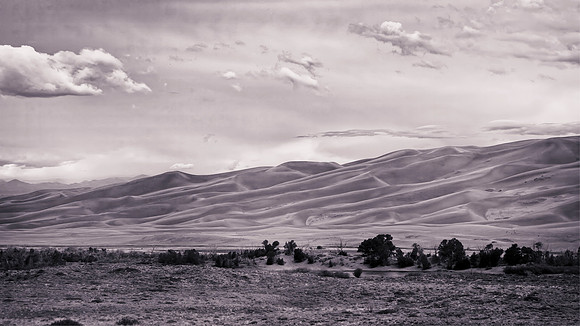 331 Colorado Dunes