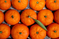 Mandarin Oranges
