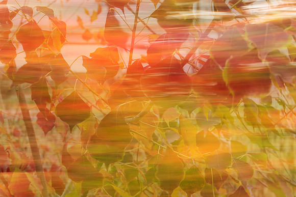 An Abstract of Autumn